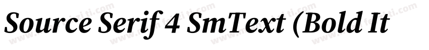 Source Serif 4 SmText (Bold Italic)字体转换